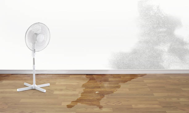 Best Local water damage restoration  in Rome, GA
